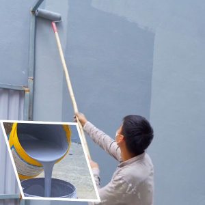 Sika Coat Plus Chống Thấm Tường Ngoài